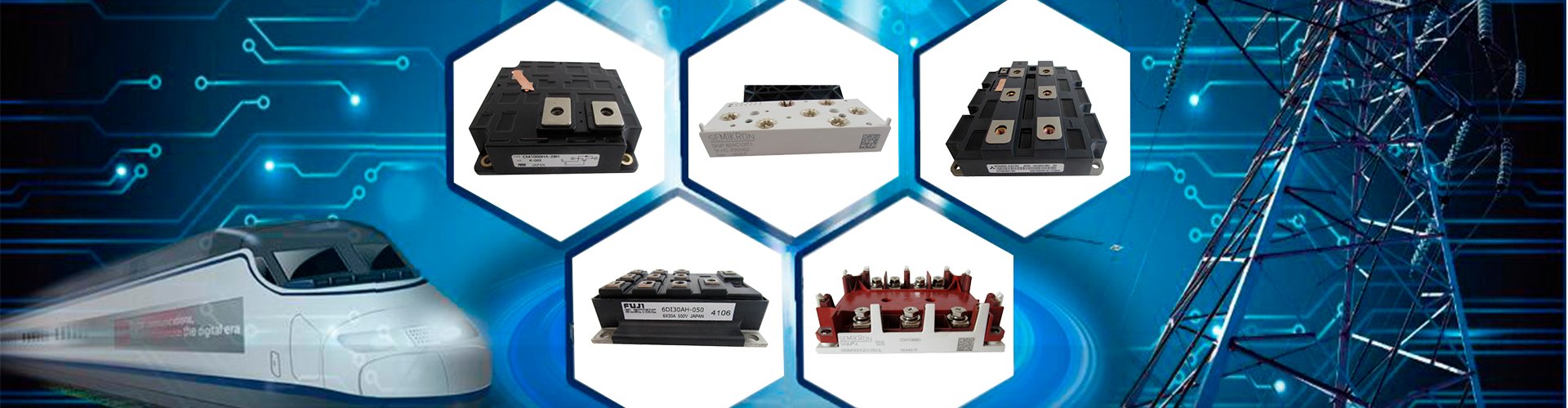 Electrical module